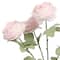 18.5" Cabbage Rose Deluxe Bush by Ashland®